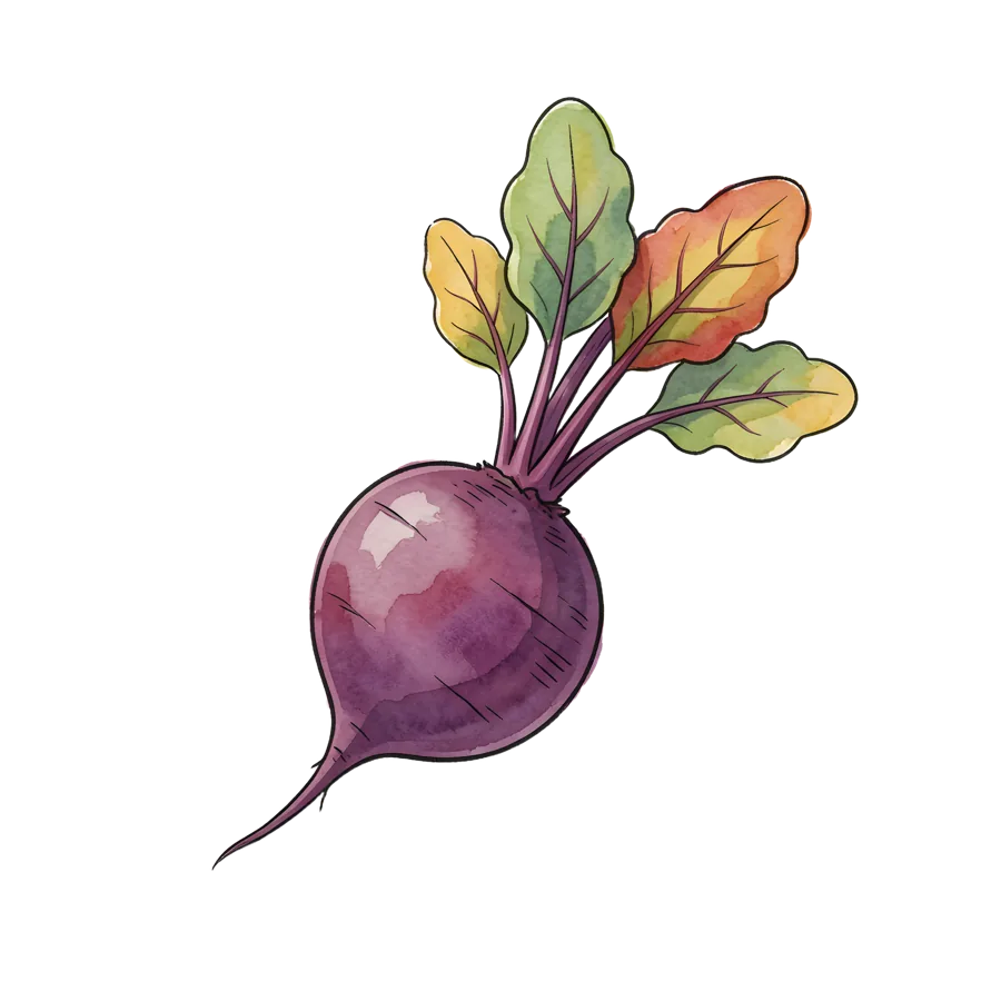 Clipart set — PNG 3 of 20 · 4096×4096
